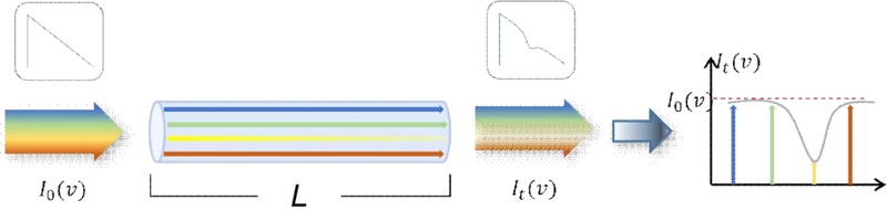 Fig. 1.